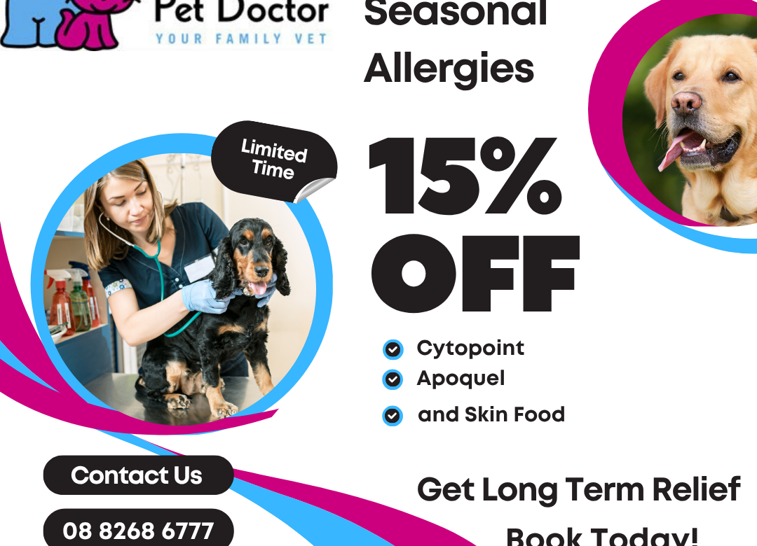 Allergies 1080 x1080